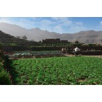 Aroma Yemen Wadi Al Mahjar 0.500 кг